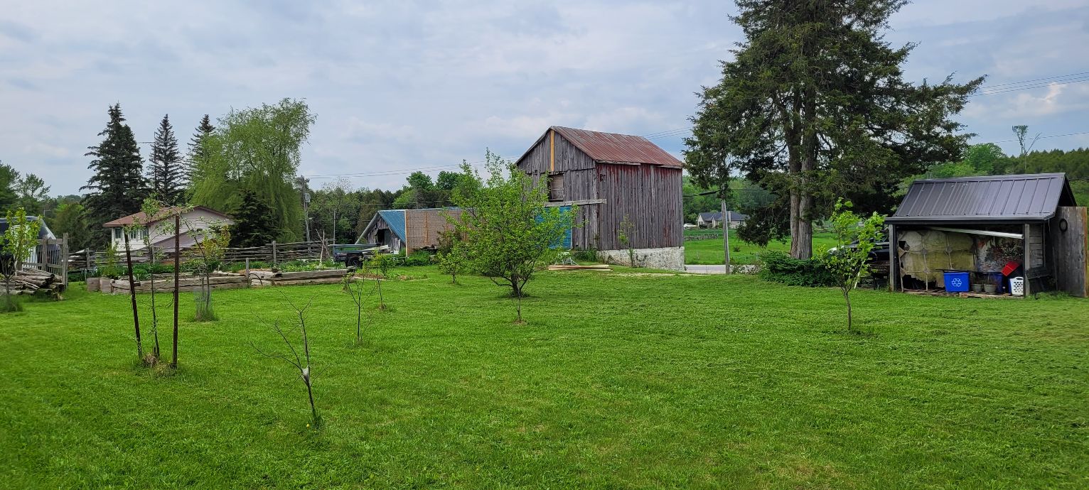 Property maintenance in Durham Ontario