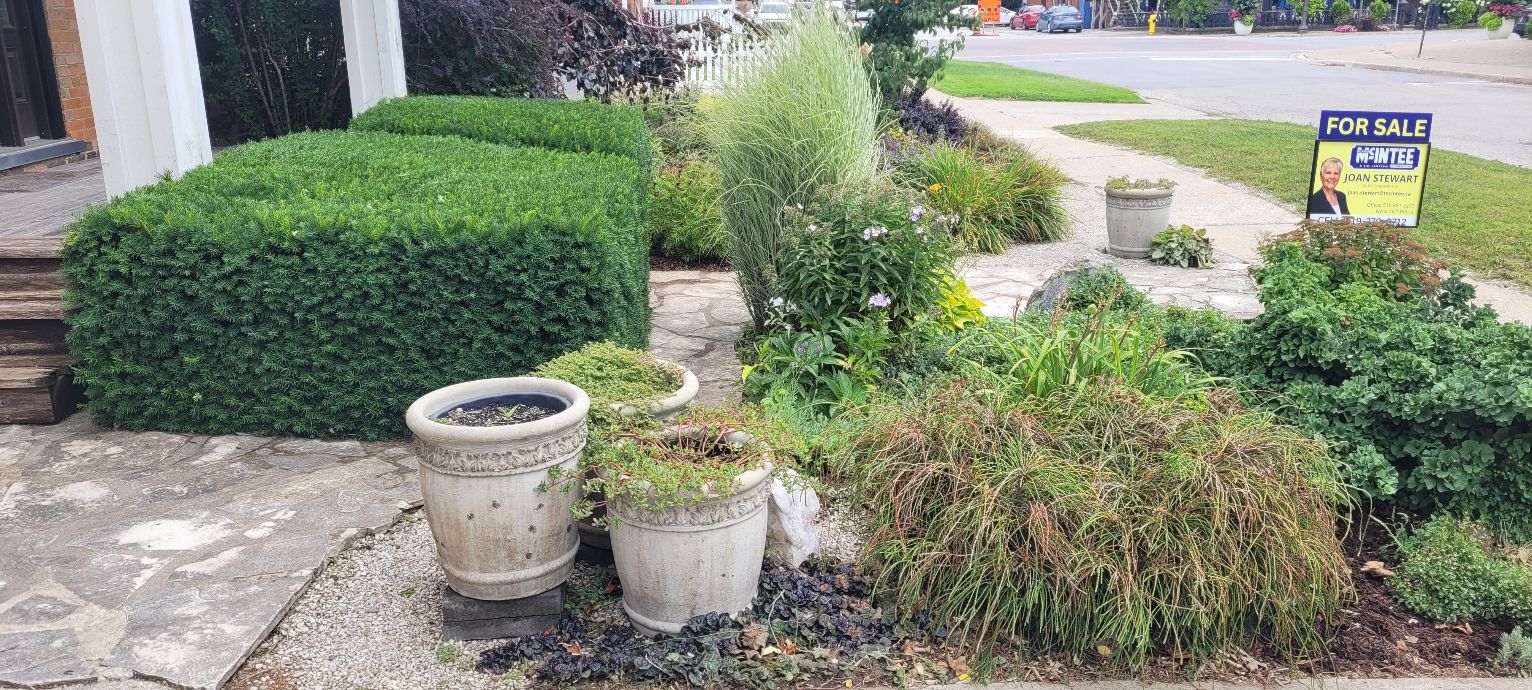 Yard maintenance in Williamsford Ontario